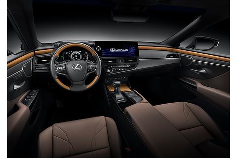 Lexus ES Interior Color Mauve (Prototype)
