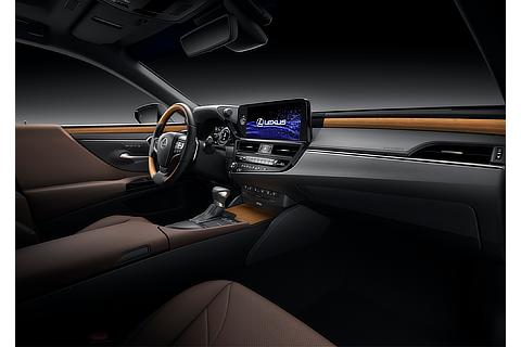 Lexus ES Interior Color Mauve (Prototype)