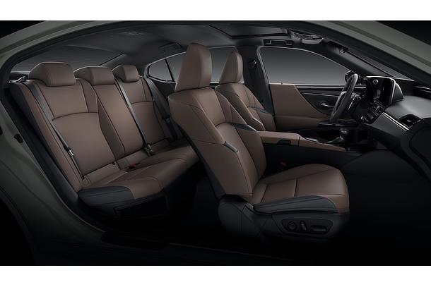 Lexus ES Interior Color Mauve (Prototype)