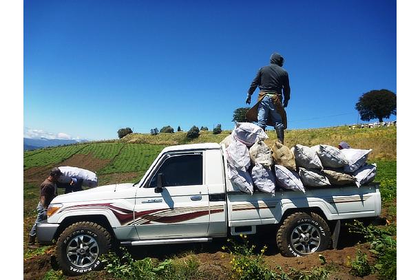 Land Cruiser Truck in a farm in Costa Rica