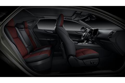 Lexus NX Interior Color Dark Rose (Prototype)