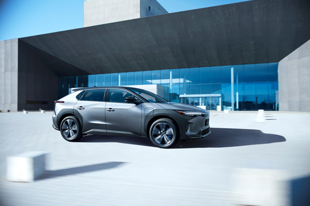 Z (Black x Precious Metal)
