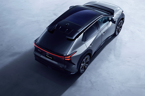Z (Black x Precious Metal)
