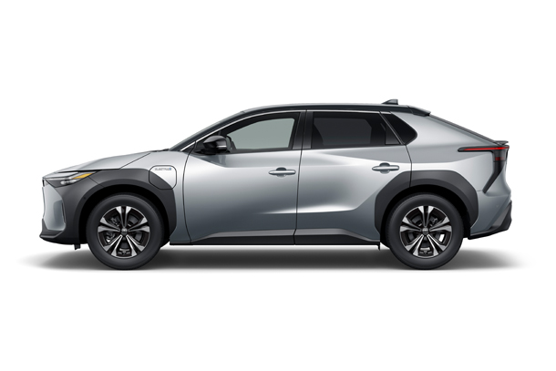 Z (Black x Precious Silver)