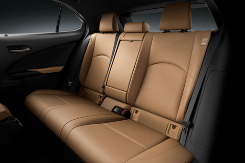 Lexus UX Interior color HAZEL (Prototype)