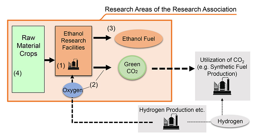 Research areas of the Research Association of Biomass Innovation for Next Generation Automobile Fuels