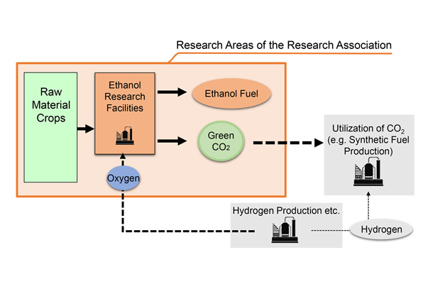 Six Private Companies Establish "Research Association of Biomass Innovation for Next Generation Automobile Fuels"
