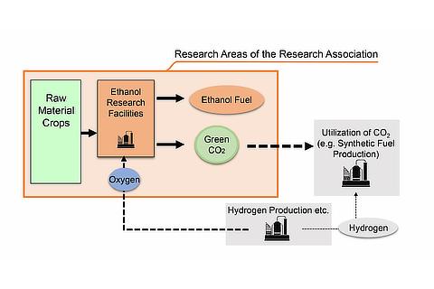 Research areas of the Research Association of Biomass Innovation for Next Generation Automobile Fuels