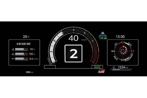 Multi Information Display