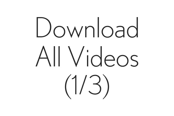 Download All Videos (1/3)