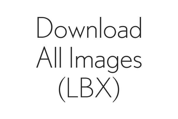 Download All Images (LBX / 37 items)