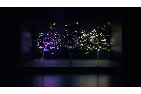 Discover Together Lexus Designer Team