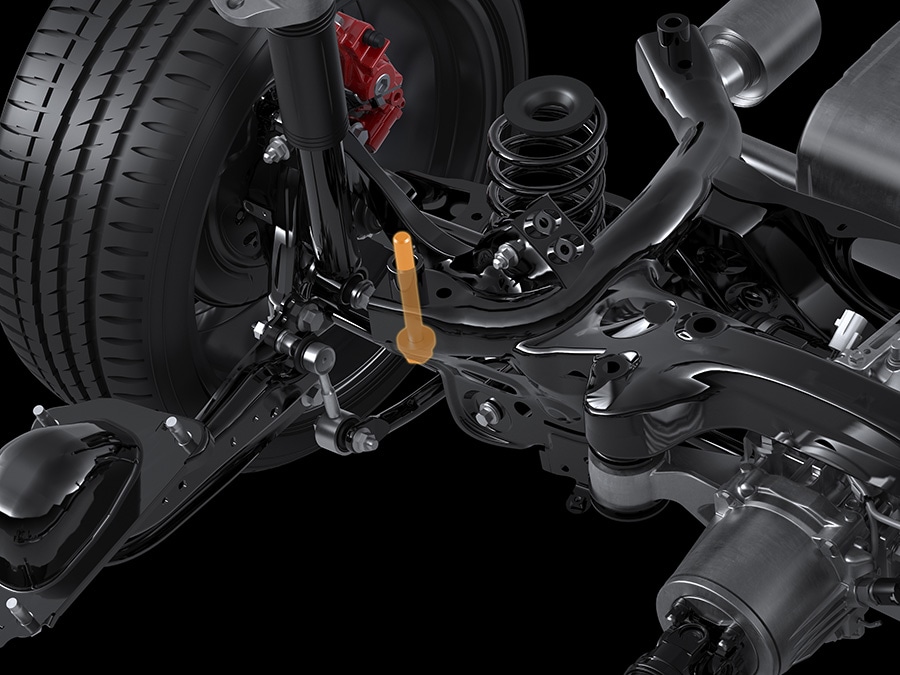 Rear suspension members and the vehicle body