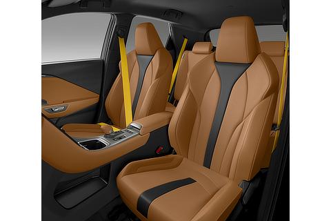 インテリアカラー ： オーカー