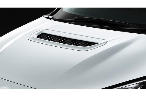 Ducted aluminum hood