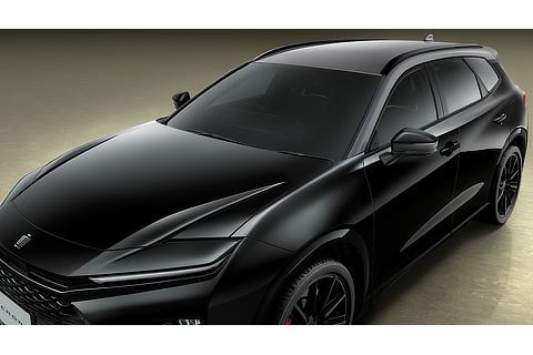 特別設定色 プレシャスメタル×ブラック