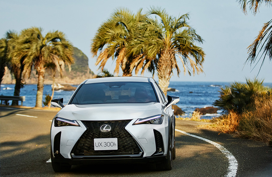 UX300h ホワイトノーヴァガラスフレーク