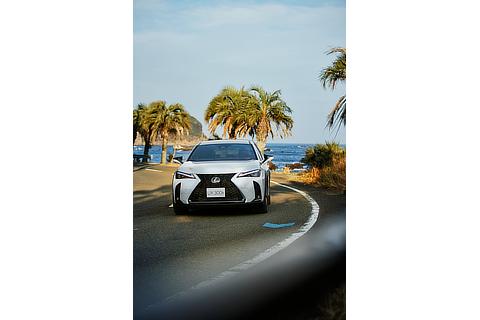 UX300h ホワイトノーヴァガラスフレーク