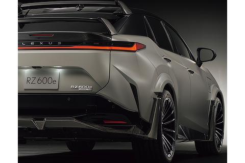 特別仕様車 カーボンターニングベイン（フロント・リア）