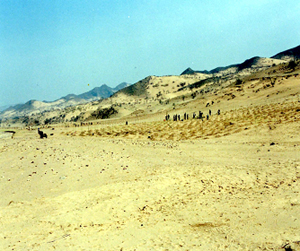 2001年4月 植林作業中