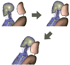 THUMSを用いた追突時の挙動解析