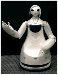 愛称 ： TPR-ROBINA（ロビーナ）