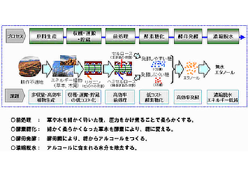 セルロース系バイオエタノール製造プロセスと技術課題