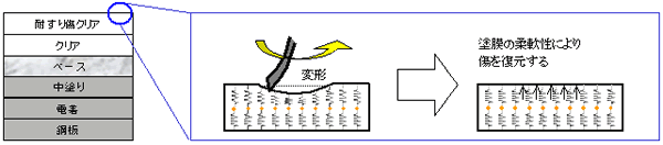 塗膜の復元イメージ