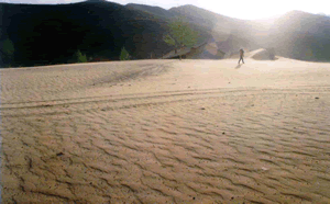 植林前　2001年４月