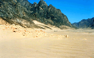 植林前　2001年４月