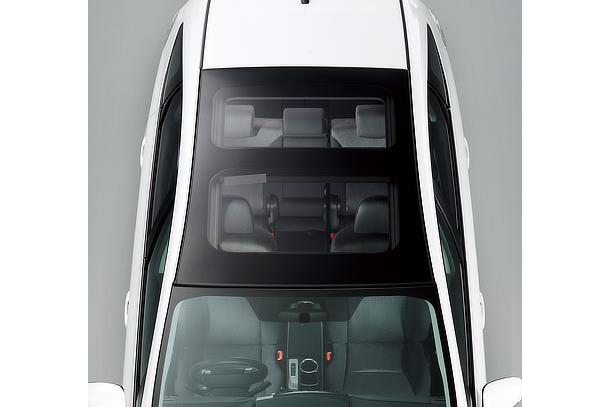 Resin Panoramic Roof