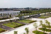 Green parking spaces and roof