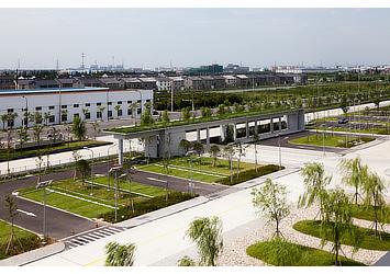 Green parking spaces and roof