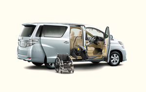 Vellfire Friendmatic model with Welride