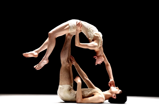 Seki's award-winning work "Mamont"